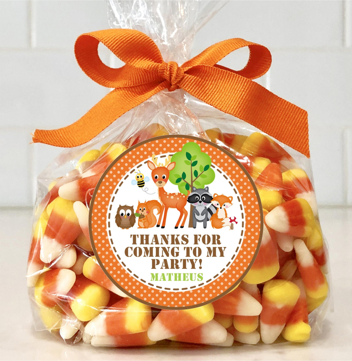 Woodland Animals Birthday Stickers – Orange Forest Party Favor Labels