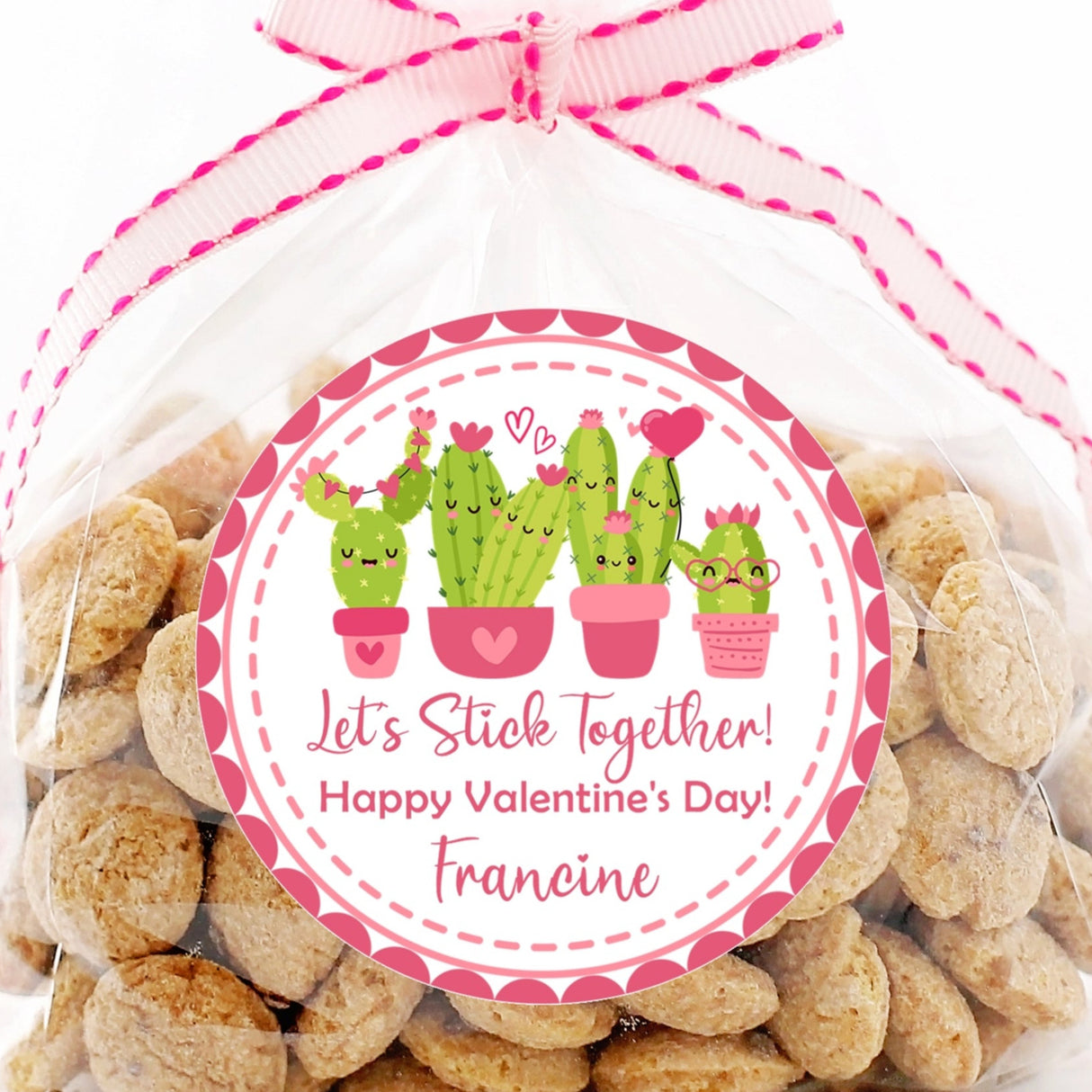 cactus themed valentine stickers pink hearts