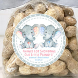 Boy and girl elephant twins baby shower stickers