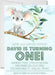 Gender Neutral Koala 1st Birthday Party Invitations