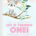 Girls Koala 1st Birthday Party Invitations