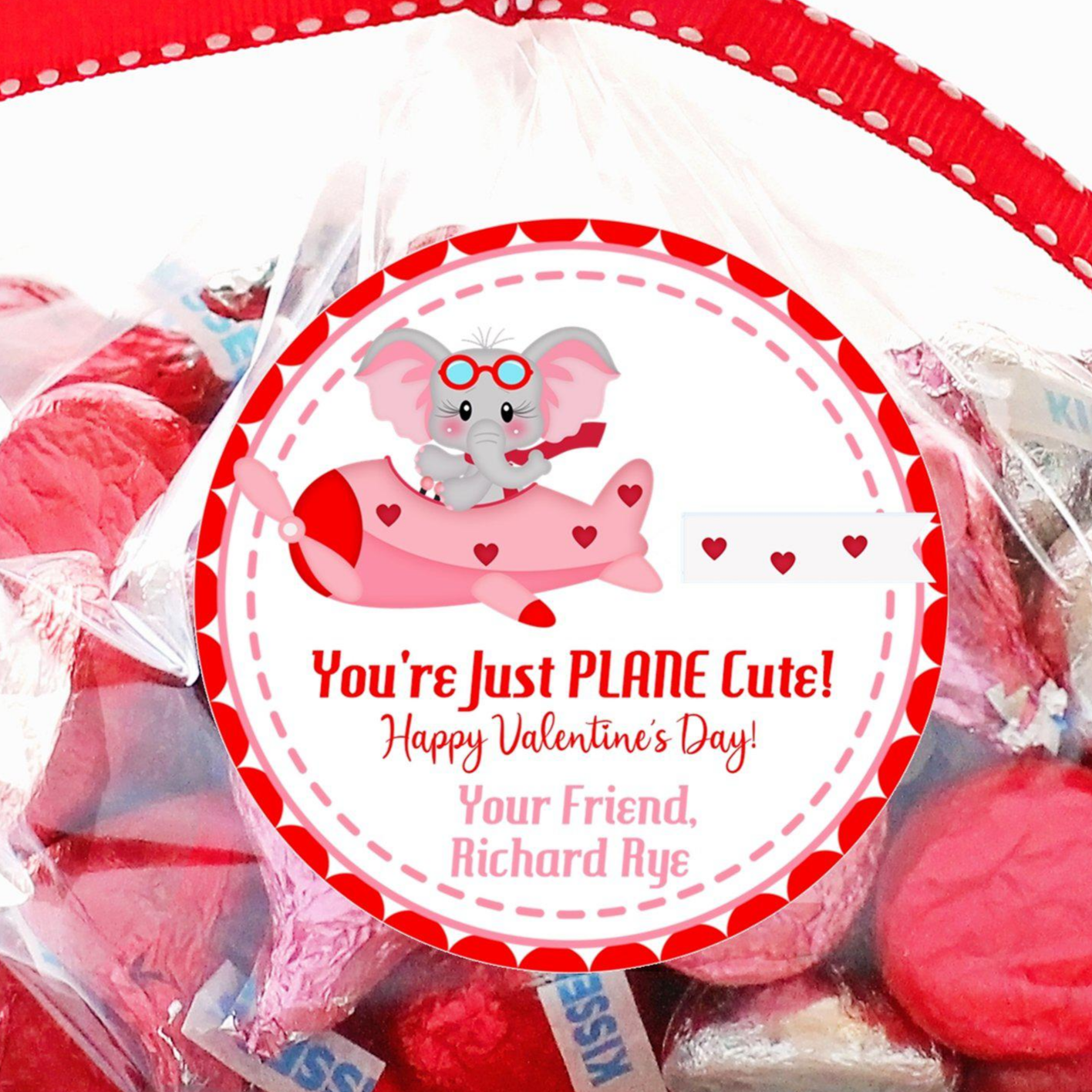 Just Plane Cute Valentine Stickers