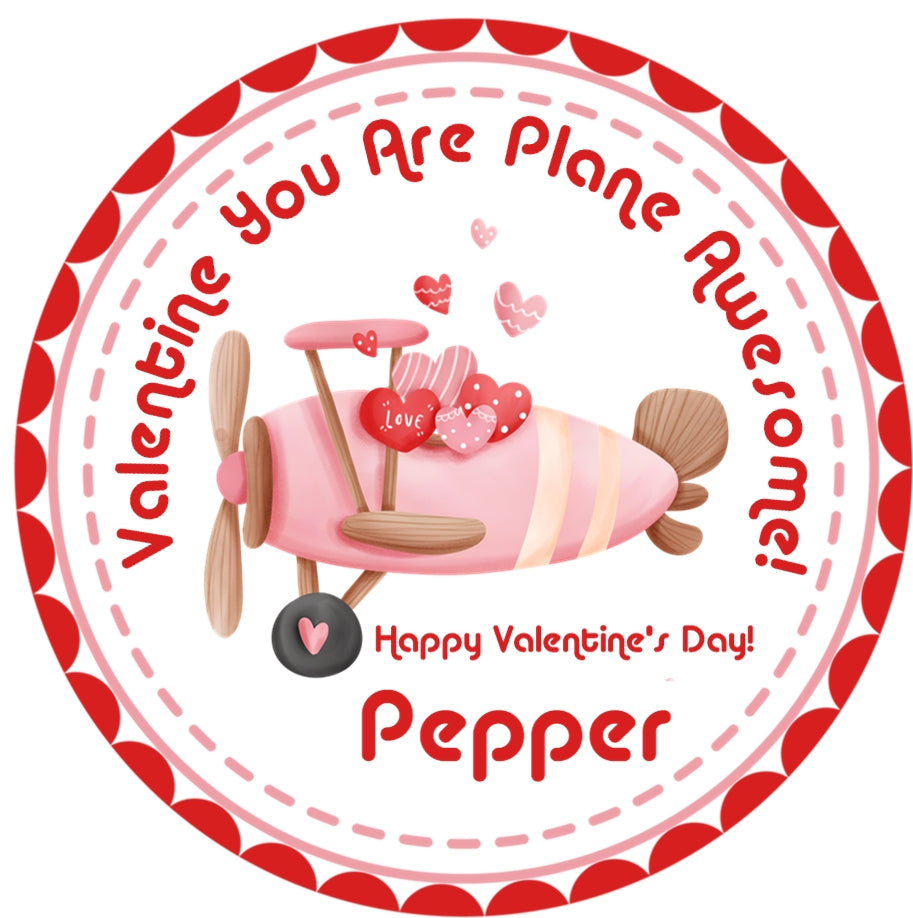 Plane Awesome Valentine Stickers