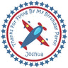airplane birthday sticker with red blue plane and star border