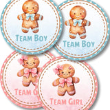 Christmas Gingerbread Gender Reveal Stickers