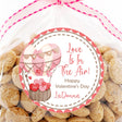 hot air balloon valentine stickers pink hearts