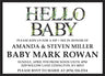 modern sip and see invitations eucalyptus floral theme