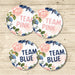 Team Pink Team Blue Gender Reveal Stickers